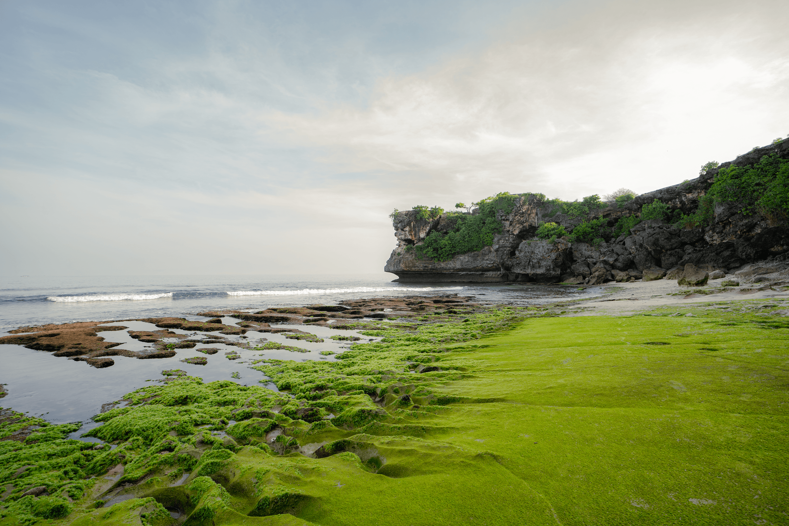 Beautiful floral arrangement