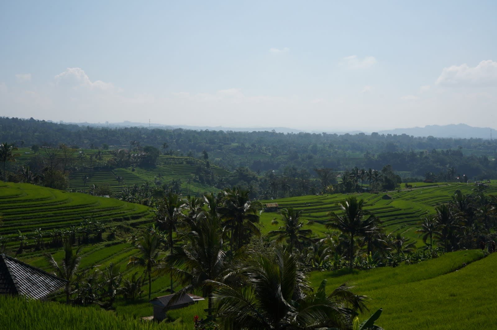 How to Plan a Destination Wedding in Bali: A Complete Guide