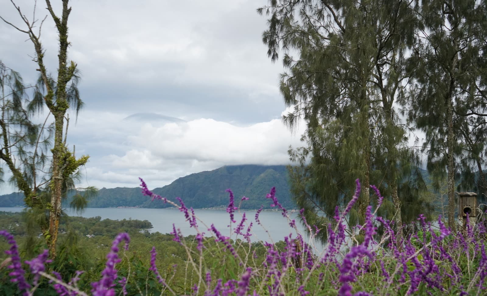 Begin your wedding journey