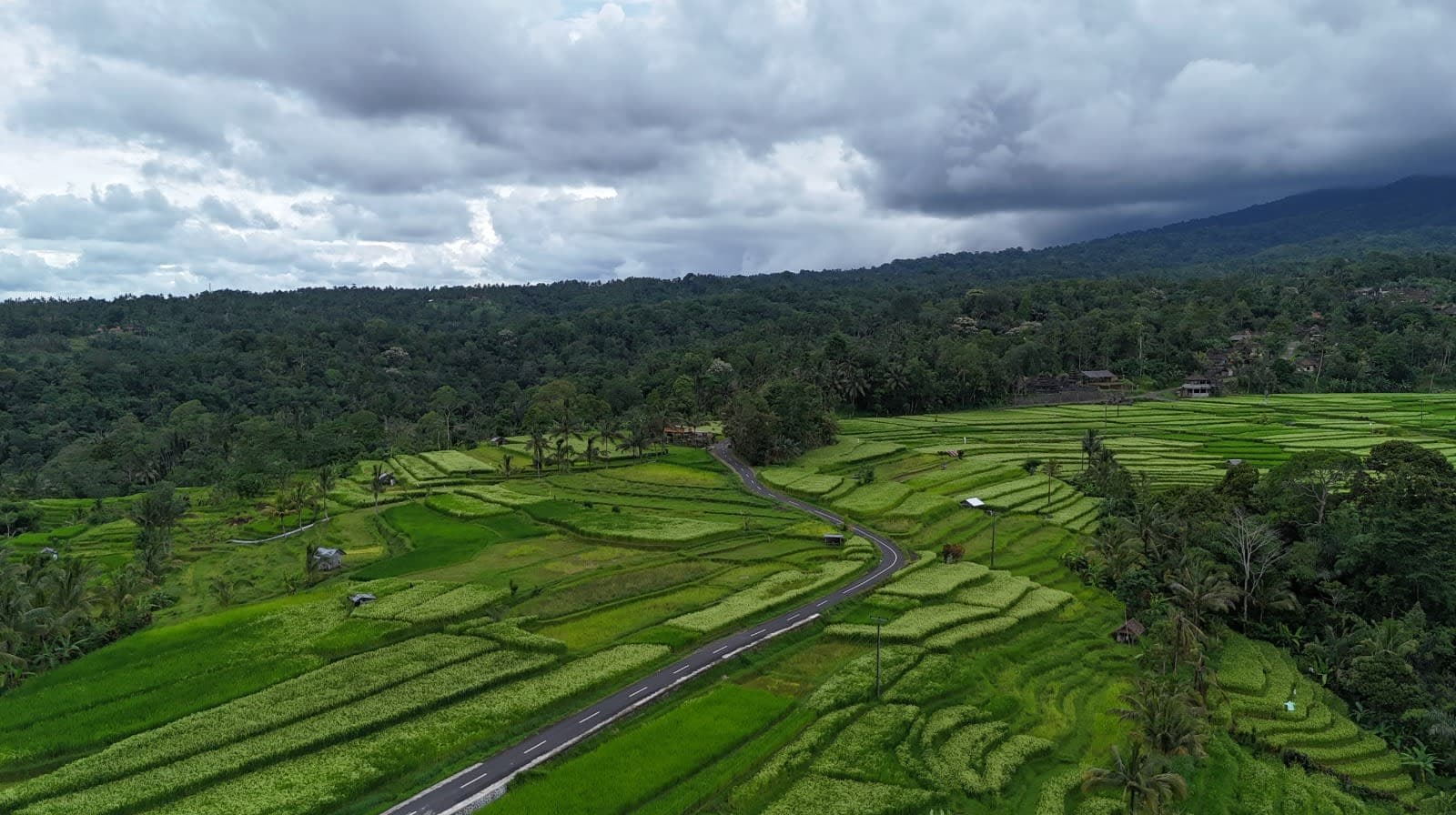 The Ideal Wedding Planning Timeline for a Bali Destination Wedding