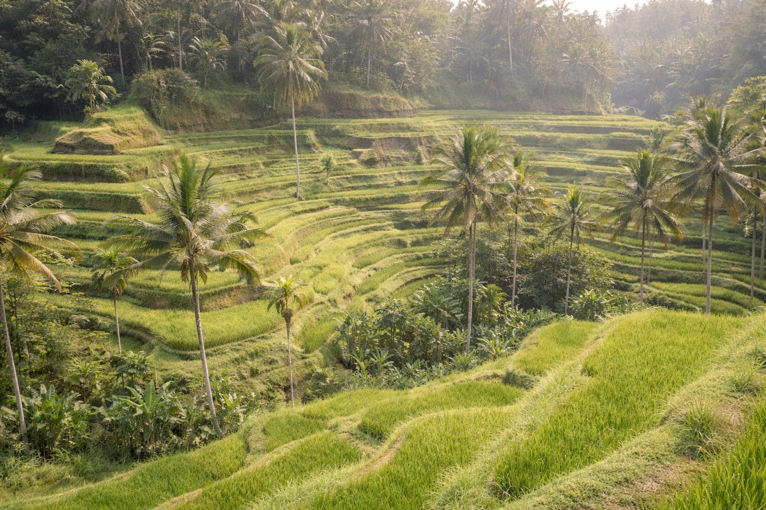 Ubud