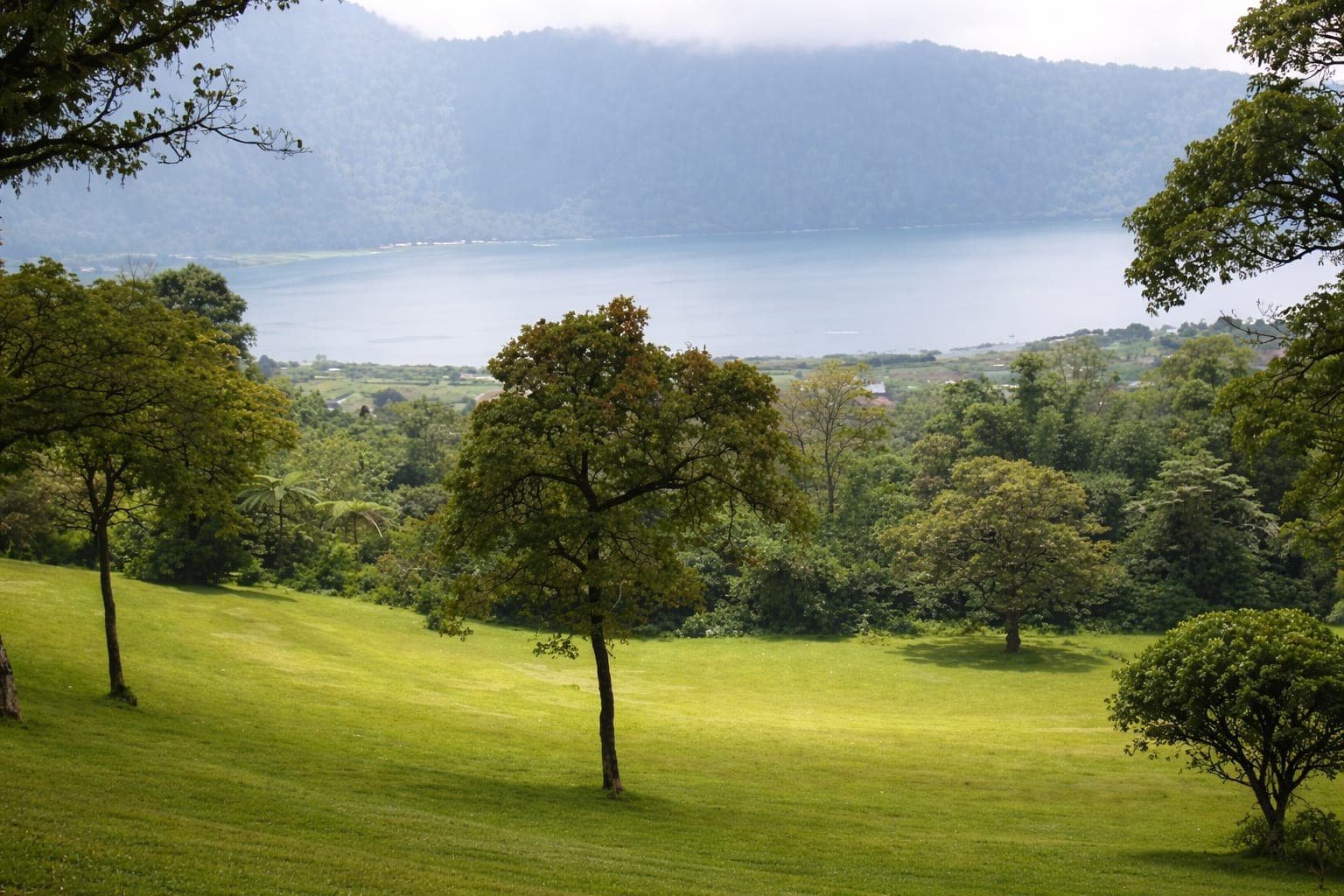 Bali Botanical Garden