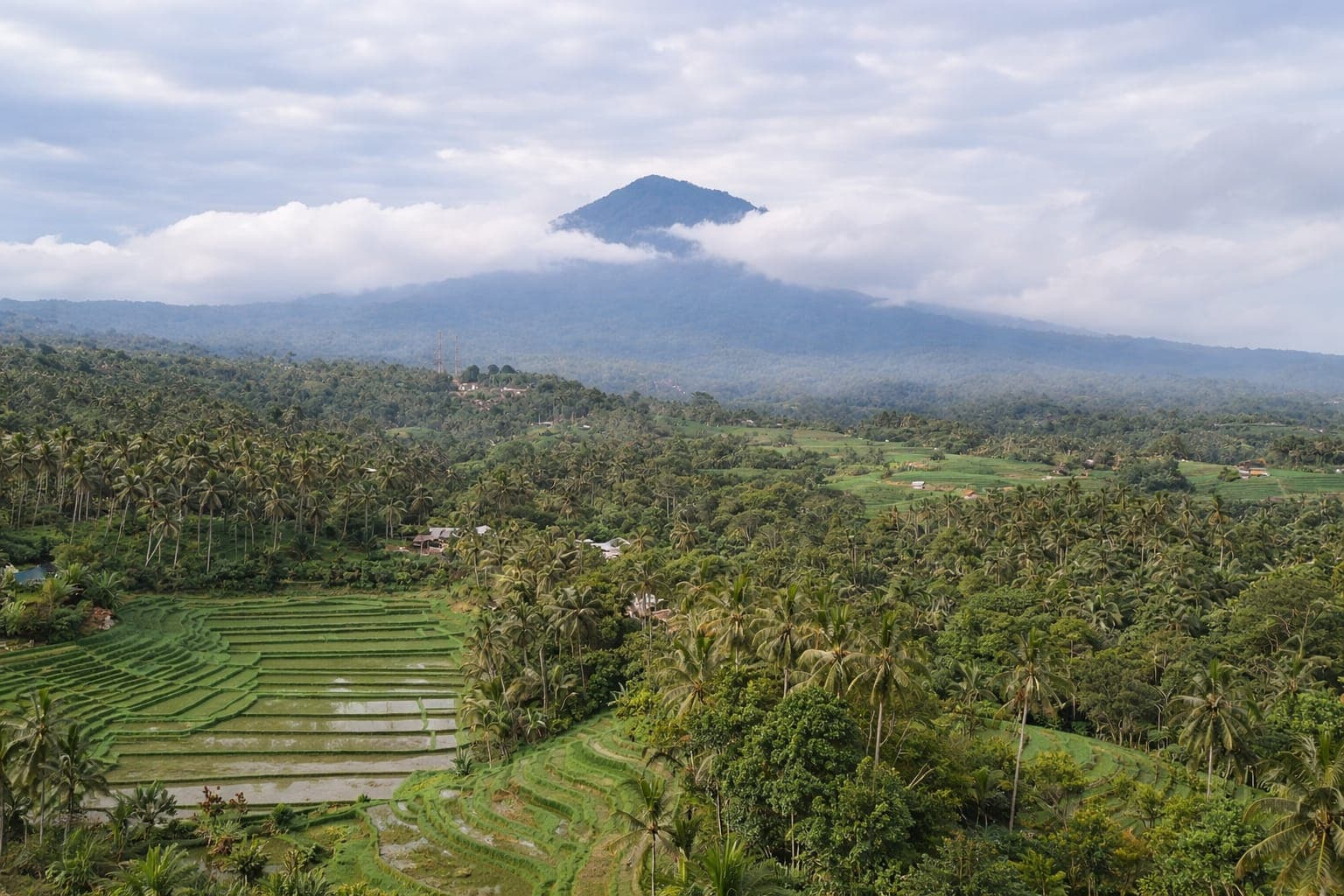 Rice Paddy Field Weddings